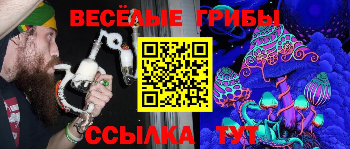 Галлюциногенные грибы MAGIC MUSHROOMS  магазин продажи наркотиков  Вход с VPN  Гудермес  Псилоцибиновые грибы прущие грибы 