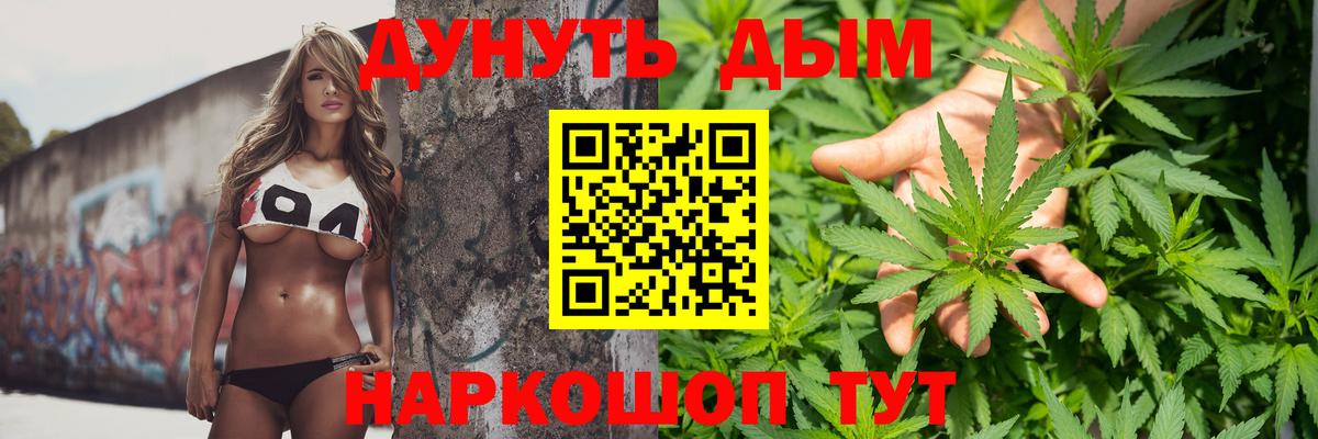 Бошки Шишки семена Гудермес